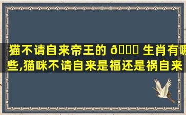 猫不请自来帝王的 🐈 生肖有哪些,猫咪不请自来是福还是祸自来猫预示了 🦁 什么